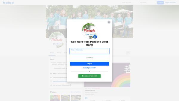 Screenshot of the Panache Steel Band Thornbury website