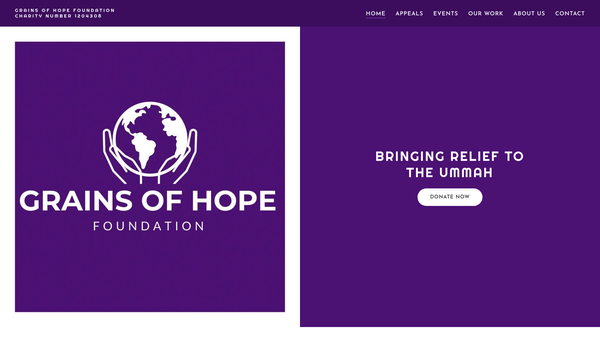 Screenshot of the Grains Of Hope Foundation website
