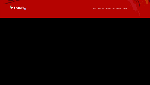 Screenshot of the Here North East website