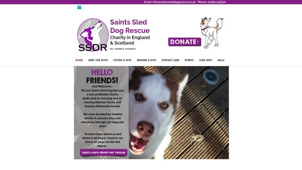 Screenshot of the Saints Sled Dog Rescue website