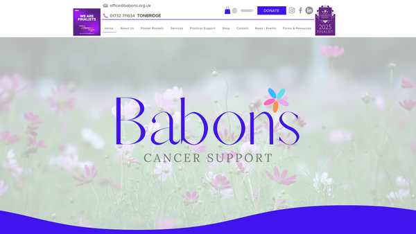 Screenshot of the Babons Cancer Support website