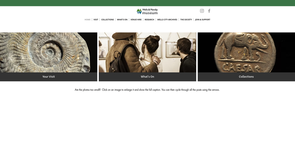 Screenshot of the The Wells Museum website
