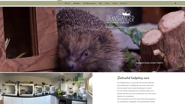 Screenshot of the Deanshanger Hedgehog Rescue website
