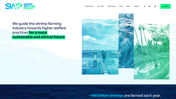 Screenshot of the Shrimp Welfare Project Ltd website