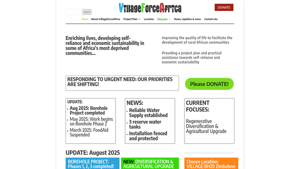 Screenshot of the Village Force Africa website