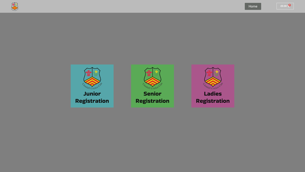 Screenshot of the Llandaff Cricket Club website