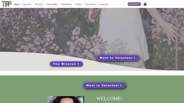 Screenshot of the The Pierce Perspective website