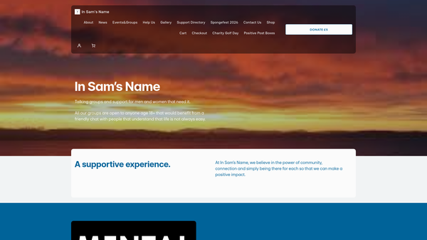 Screenshot of the In Sam's Name website