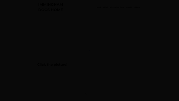 Screenshot of the Immingham Dogs Home website