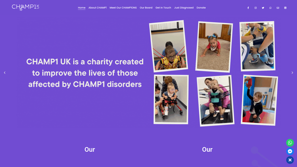 Screenshot of the Champ1 UK website