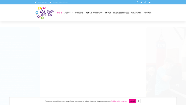 Screenshot of the Live Well North East website