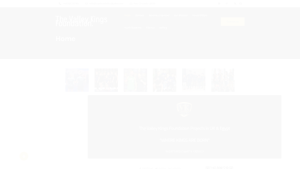 Screenshot of the The Valley Kings Foundation website