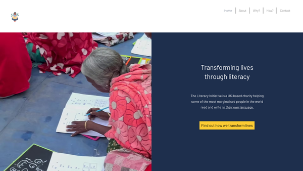 Screenshot of the The Literacy Initiative website