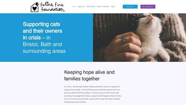 Screenshot of the Feline Fine Foundation website