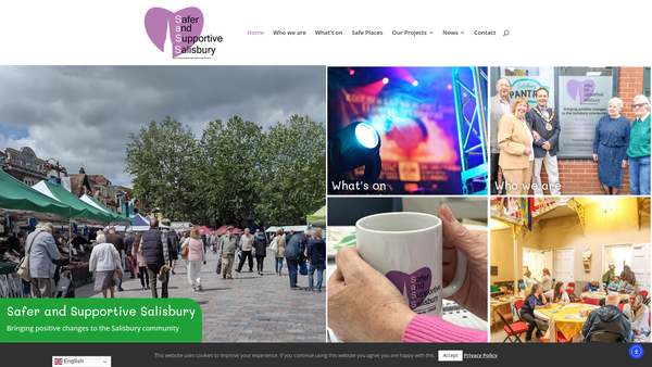Screenshot of the Safer And Supportive Salisbury website