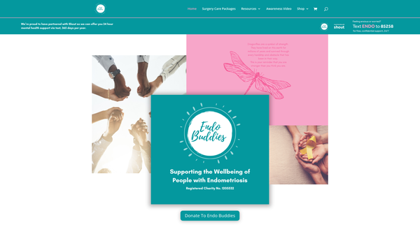 Screenshot of the Endo Buddies CIO website
