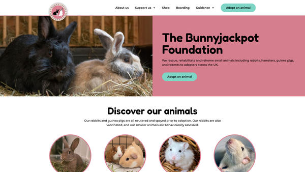 Screenshot of the The Bunnyjackpot Foundation website