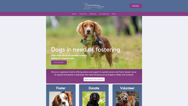 Screenshot of the Spaniel Rescue Foundation website