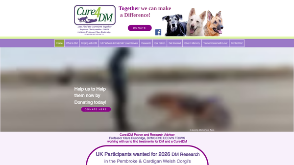 Screenshot of the Cure4dm website