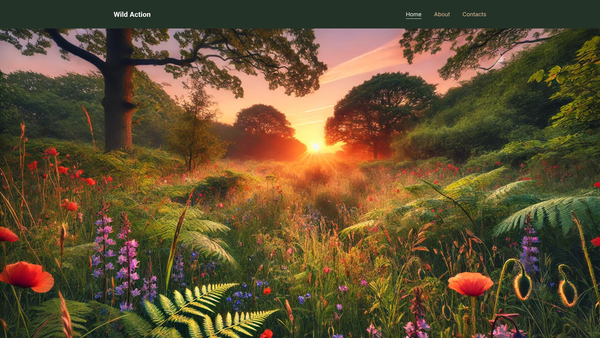 Screenshot of the Wild Action website