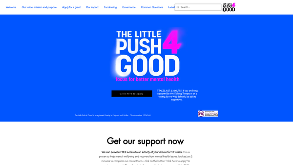 Screenshot of the The Little Push 4 Good website