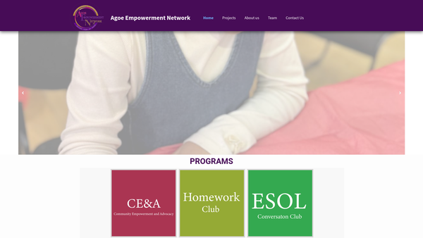 Screenshot of the Agoe Empowerment Network CIO website