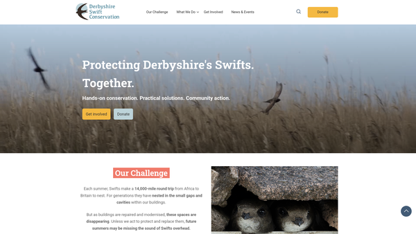Screenshot of the Derbyshire Swift Conservation website