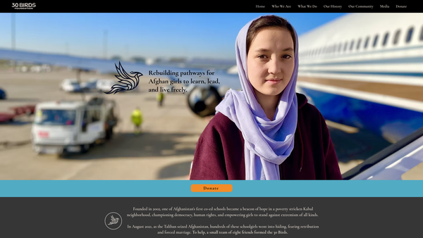 Screenshot of the 30 Birds Foundation UK website