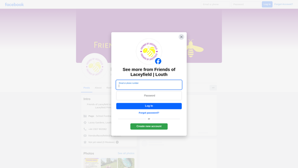 Screenshot of the Friends Of Laceyfield website