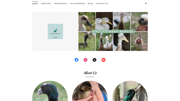 Screenshot of the Sallys Duck Rescue (UK) website