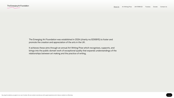 Screenshot of the The Emerging Art Foundation website
