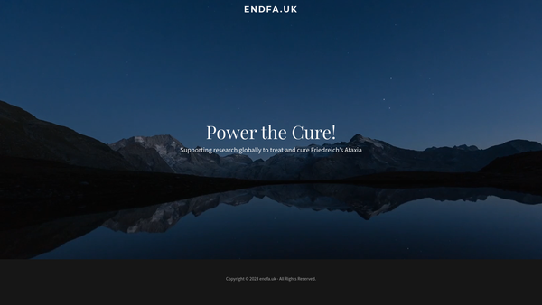 Screenshot of the Endfa (UK) website