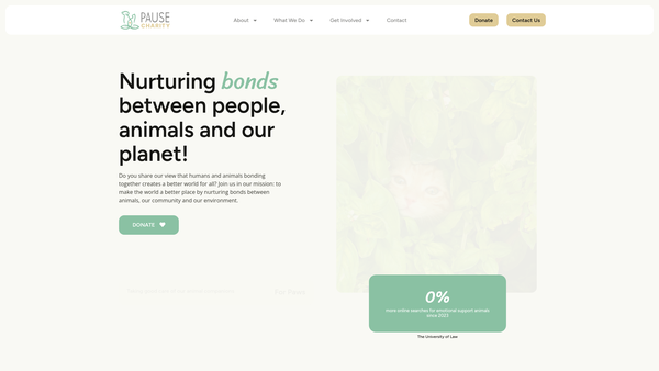 Screenshot of the Pause website