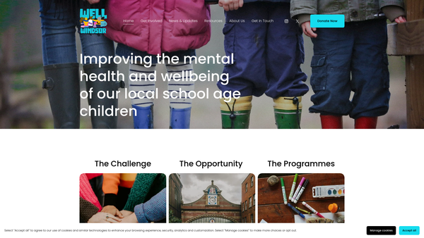 Screenshot of the Well Windsor website