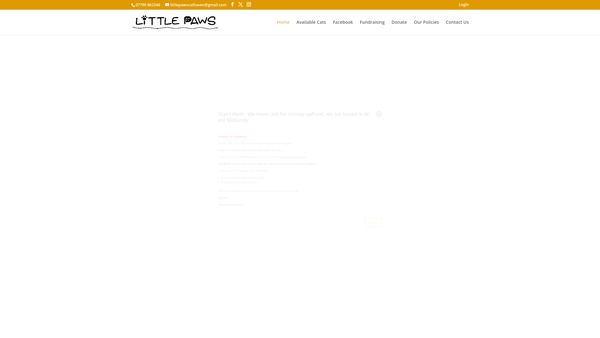 Screenshot of the Little Paws Cat Haven website