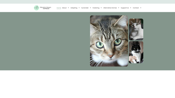 Screenshot of the Minnie's Haven Cat Rescue website