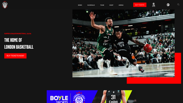Screenshot of the London Lions Foundation website