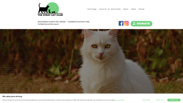 Screenshot of the The Stray Cat Club website