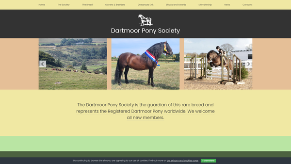 Screenshot of the Dartmoor Pony Society website