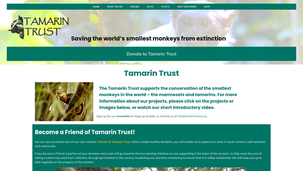 Screenshot of the The Tamarin Trust website