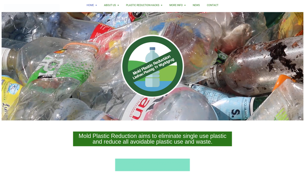 Screenshot of the Mold Plastic Reduction website