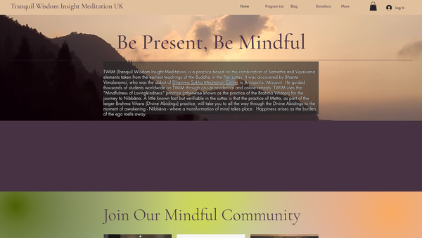 Screenshot of the Twim UK website