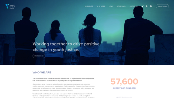 Screenshot of the The Alliance For Youth Justice website