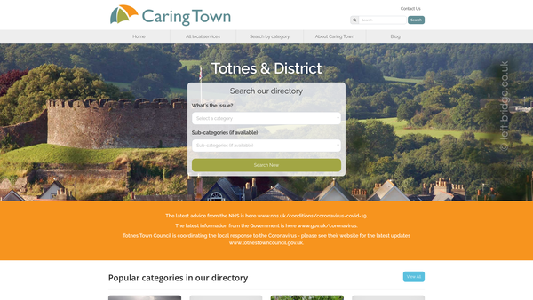 Screenshot of the Caring Town website
