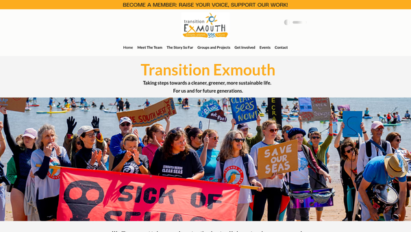 Screenshot of the Transition Exmouth website