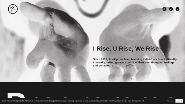 Screenshot of the Riseup website