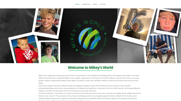 Screenshot of the Mikeys World website