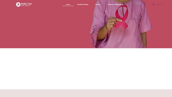 Screenshot of the Buddy_cups North East website