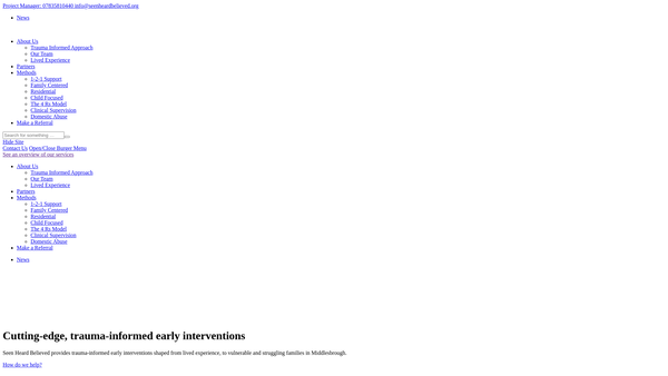 Screenshot of the Seen Heard Believed website