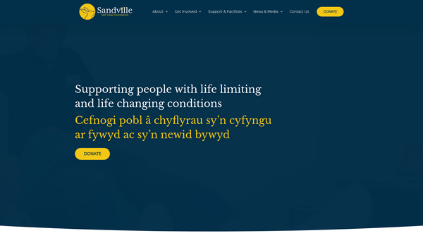 Screenshot of the Sandville Self Help Foundation website
